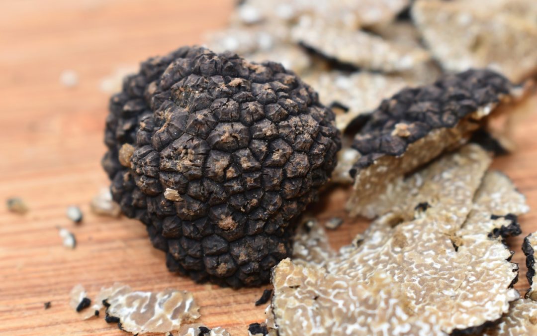 Meet the truffle, king of the kitchen