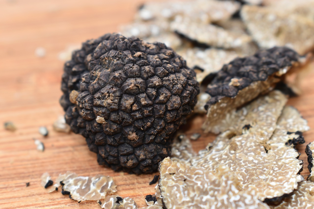 meet-the-truffle-king-of-the-kitchen-trueitalian-top