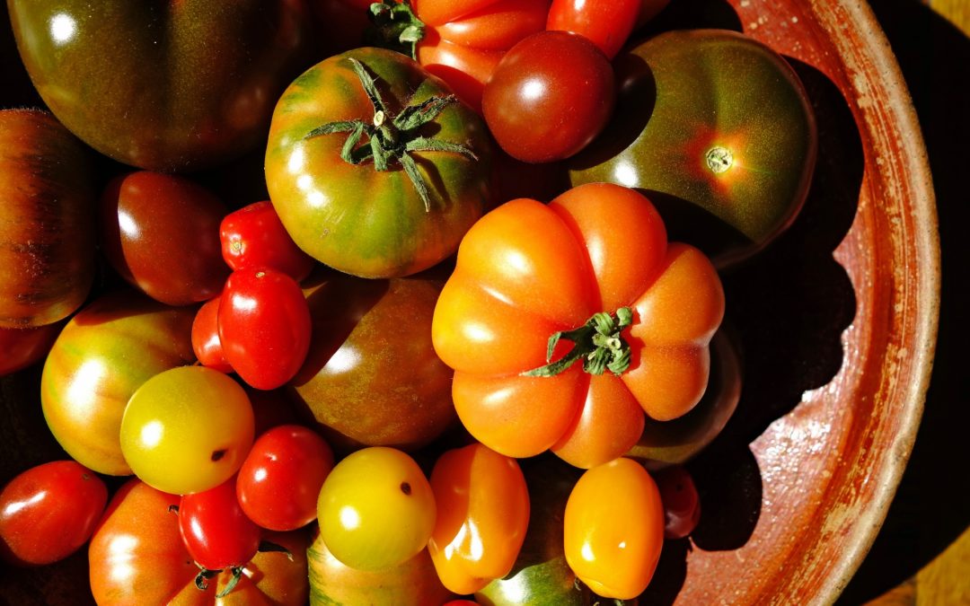 Italian tomatoes, a red and juicy love story